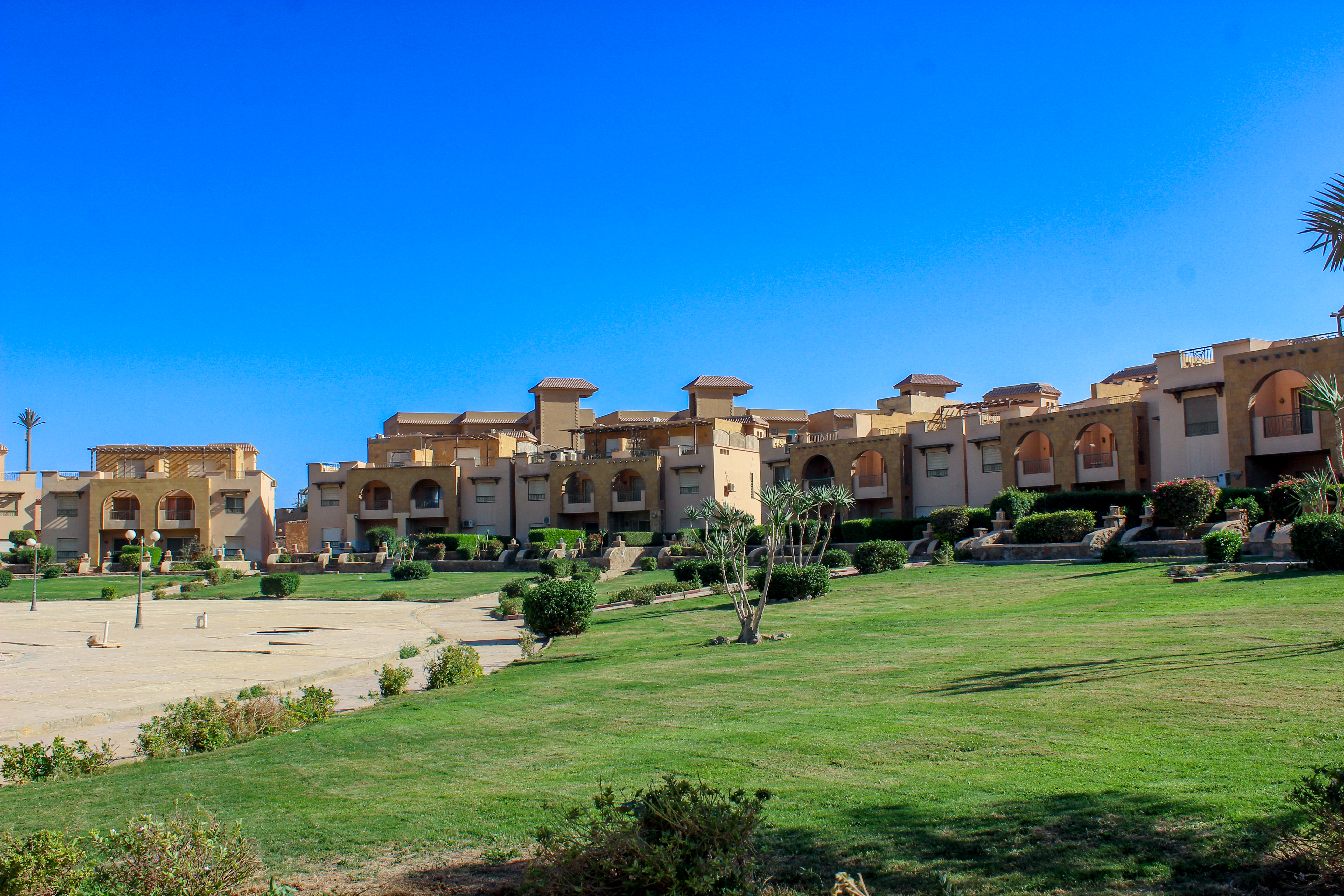 Convoy lifestyle rendering